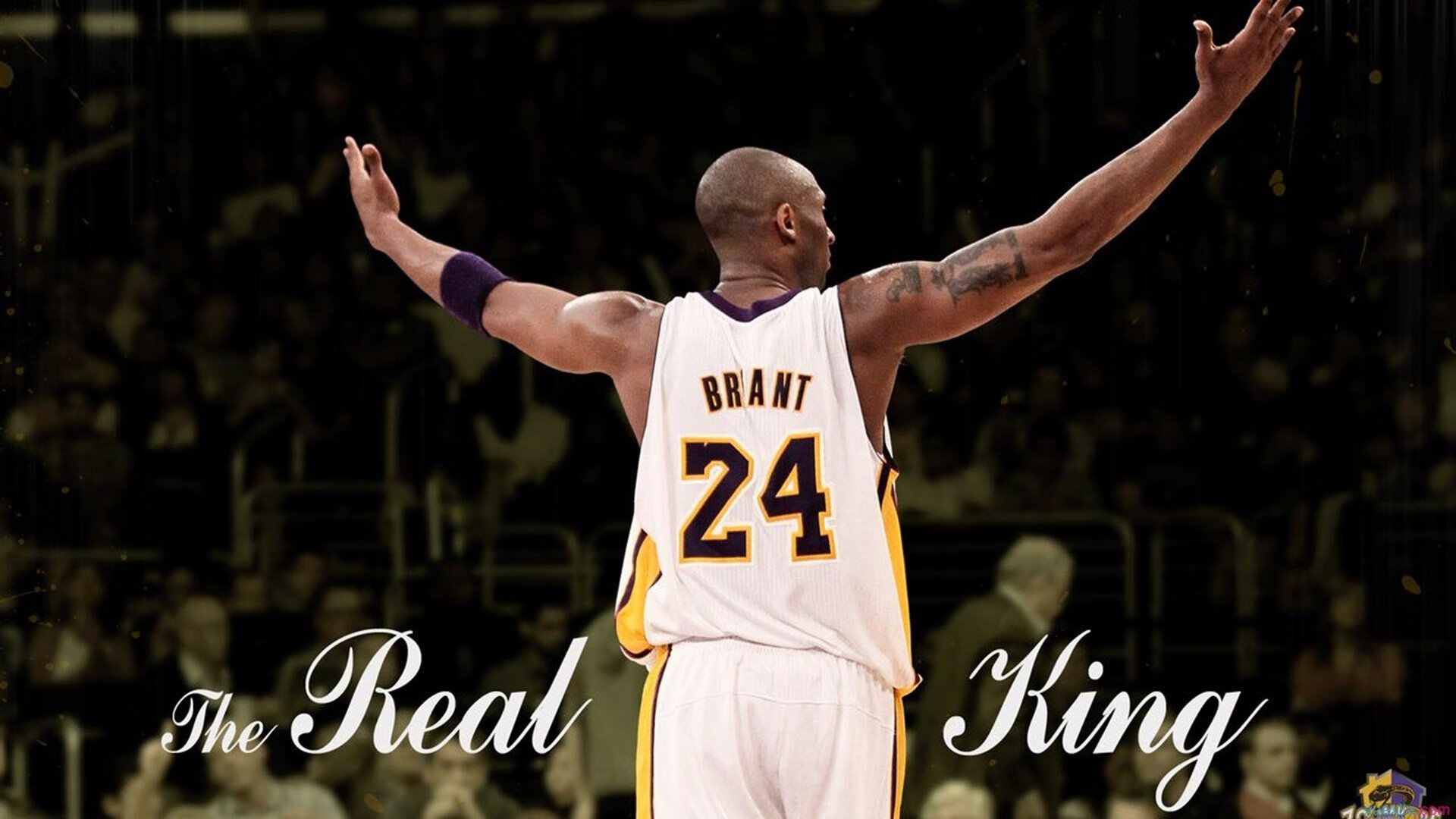 黄蜂火力压制雷霆，克莱高光表现点燃赛场